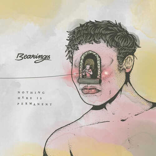 

Виниловая пластинка Bearings: Nothing Here Is Permanent