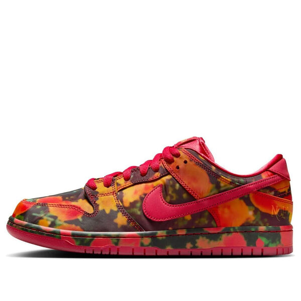 

Кроссовки sb dunk low 'the wizard of oz' Nike, красный