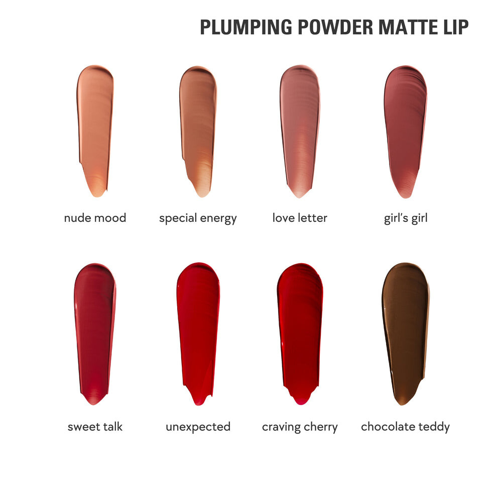 Набор Kylie Cosmetics Plumping Powder Matte Lip & Lip Liner Duo, warm brown/iced latte — фото 2