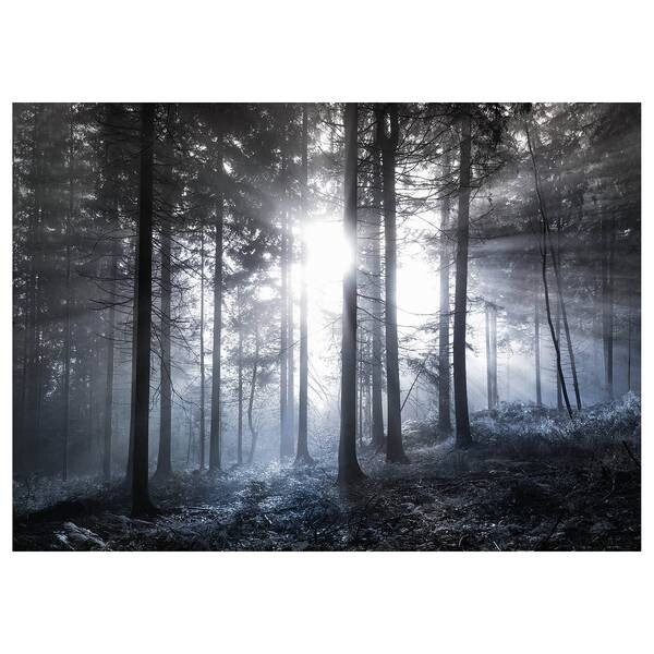 

Картина на холсте A.S. Création Sun Rays, синий/белый