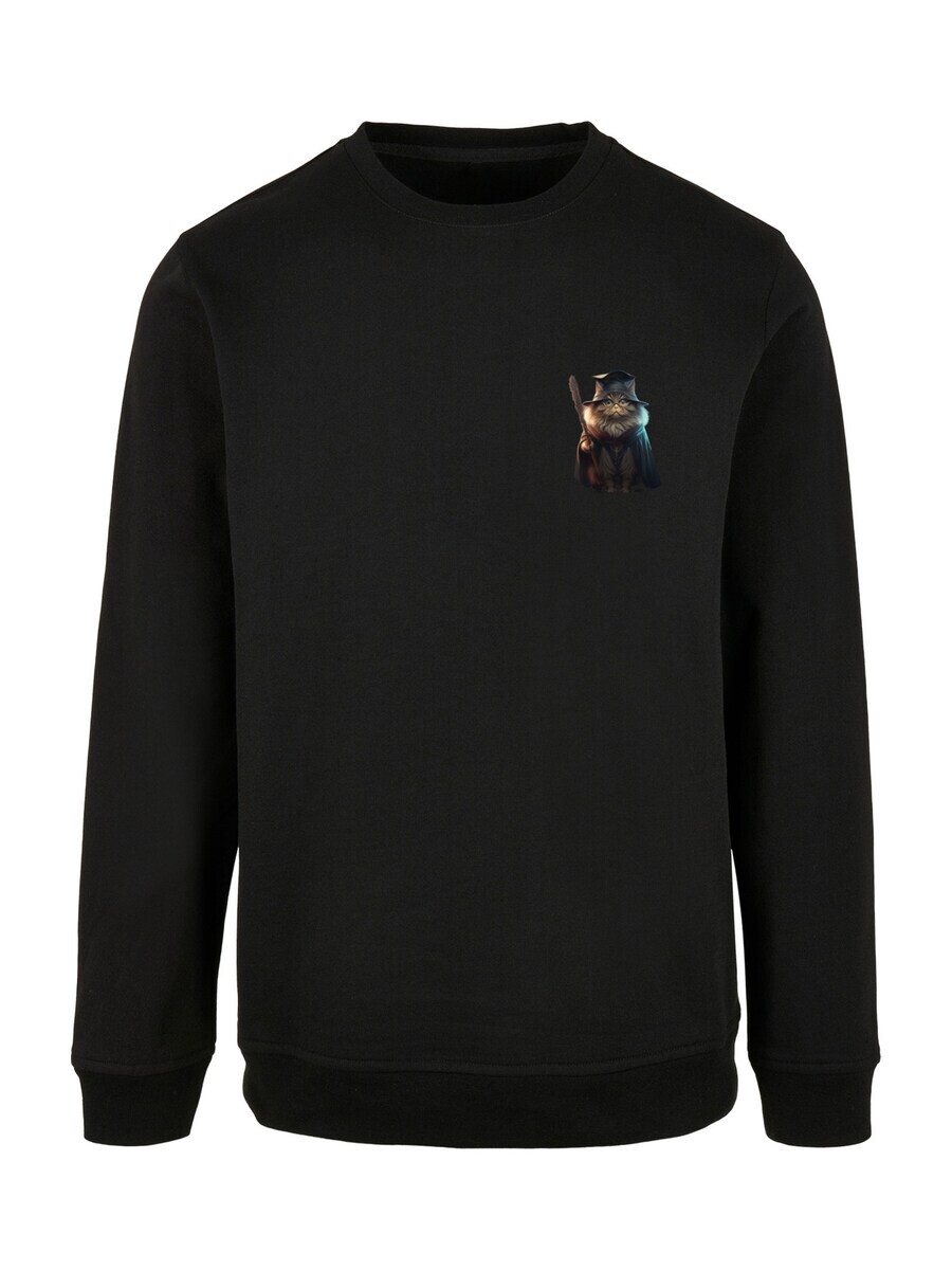 

Свитер F4NT4STIC Sweatshirt Wizard Cat, черный