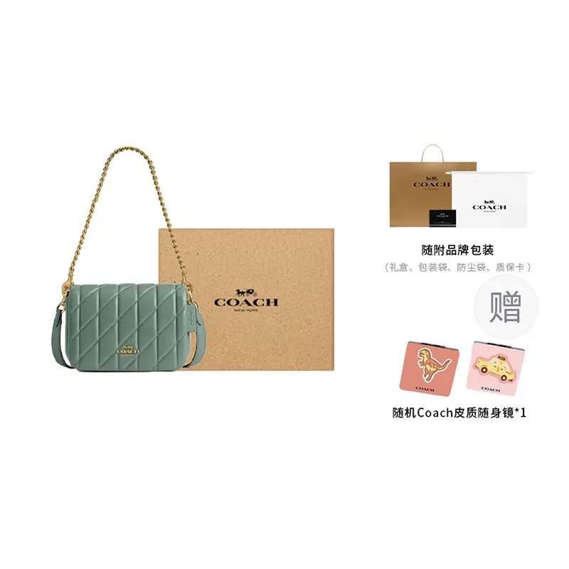 

COACH Кожаная портативная сумка через плечо малого размера женская зеленая