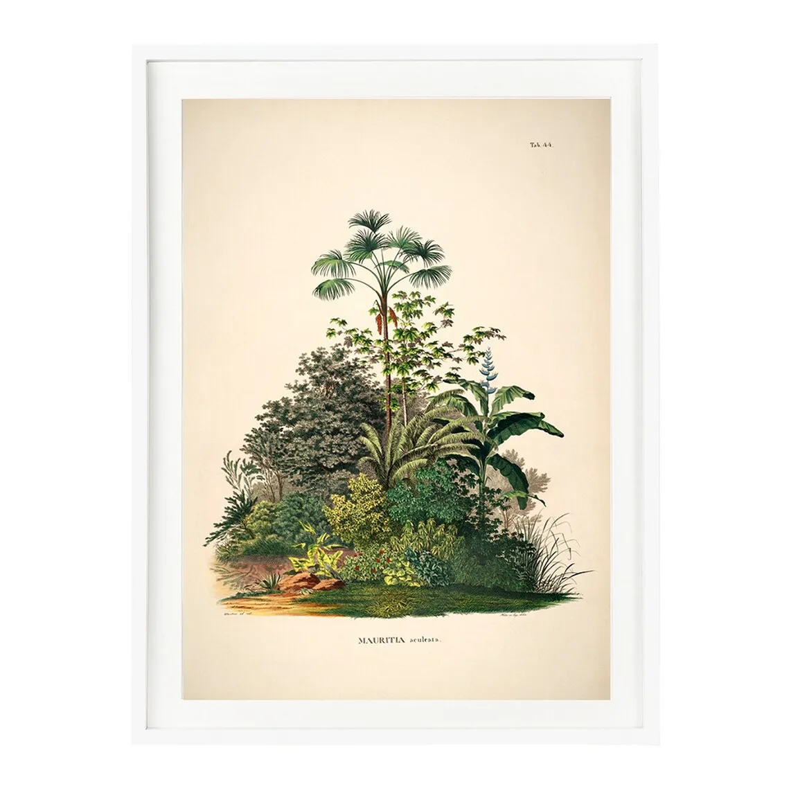 

Принт Palm Trees Jungle The Dybahl + Marco Thor El Corte Inglés, белый