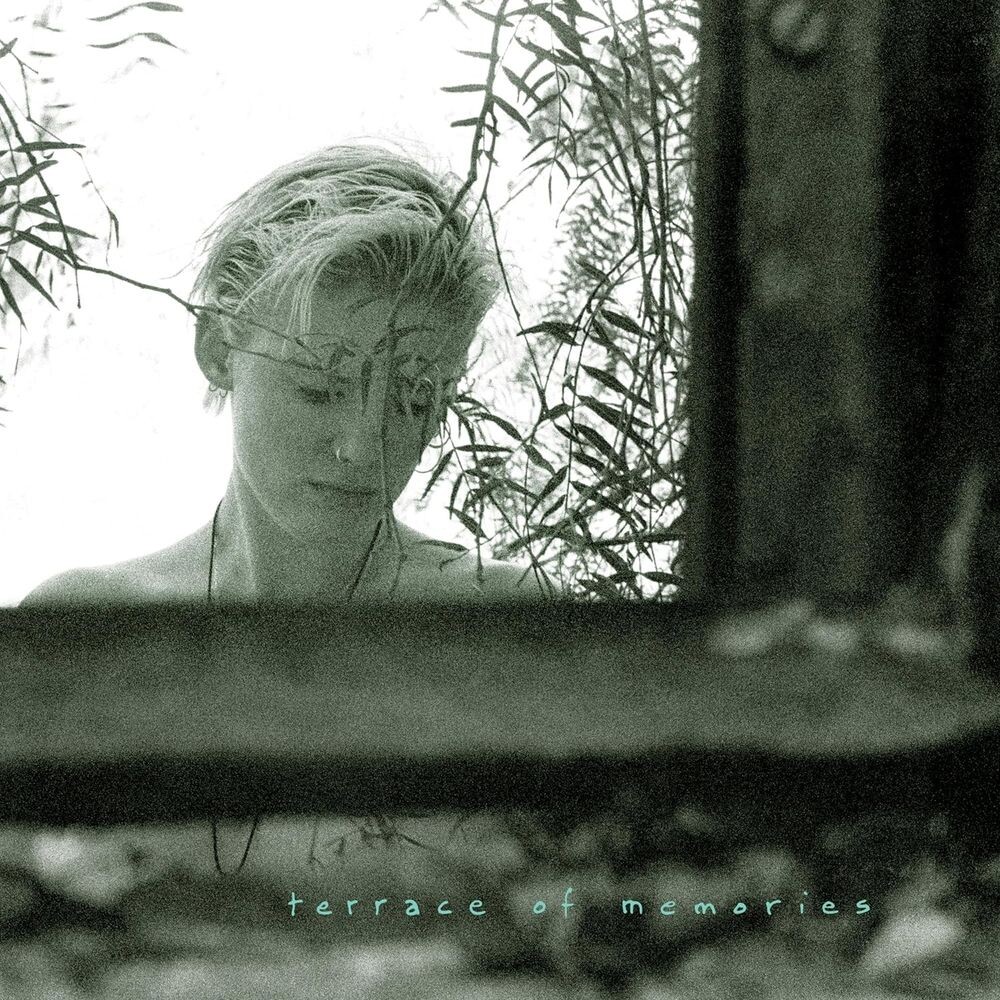 

Виниловая пластинка LP Terrace Of Memories - Sam Rosenthal, Dirk Serries
