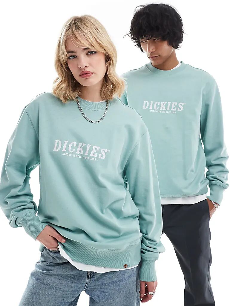 

Толстовка с большим логотипом на груди светло-голубого цвета Dickies