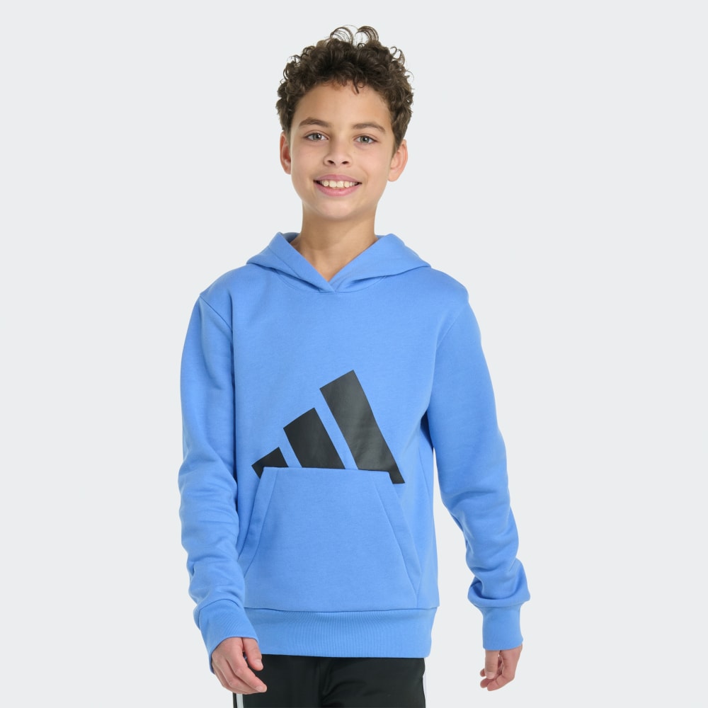 

Худи Adidas Long Sleeve Essential Big Logo Fleece Pullover Hoodie, цвет Blue Fade