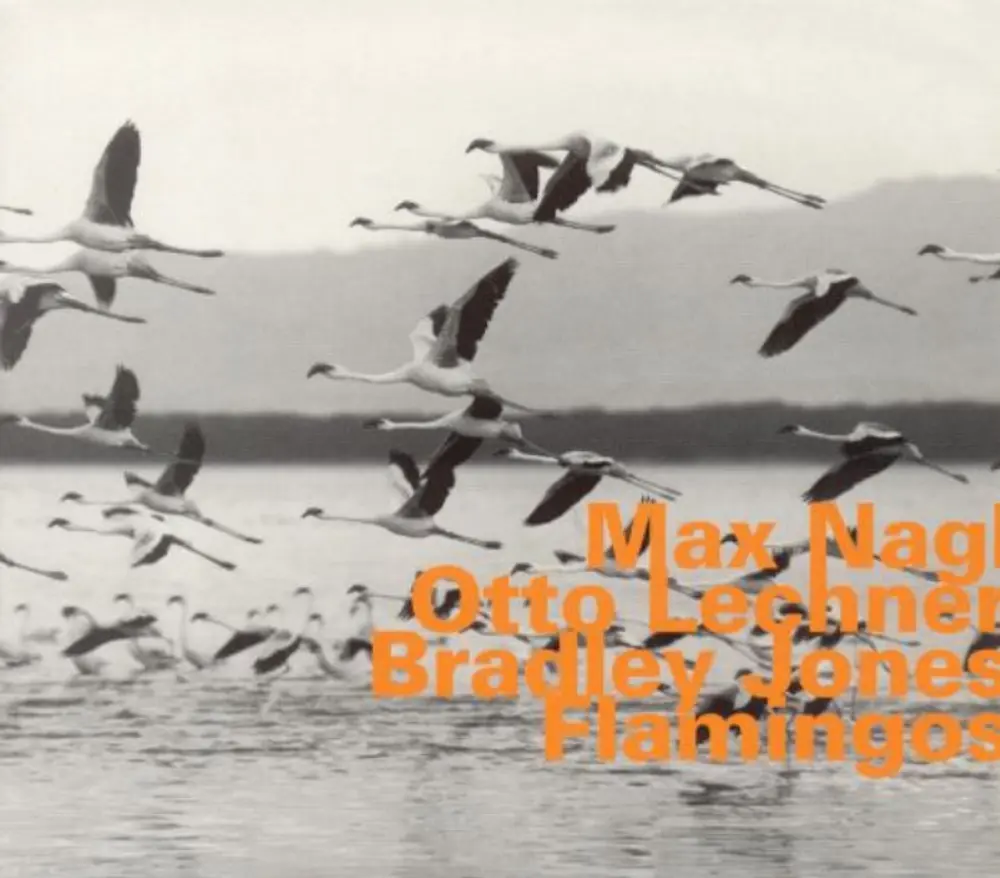 

Диск CD Flamingos [Import] - Max Nagl, Otto Lechner, Bradley Jones