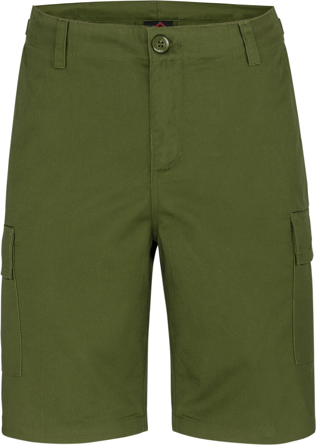

Тканевые брюки Normani Outdoor Sports Kinder Shorts Dalvík, оливковый, Зеленый, Тканевые брюки Normani Outdoor Sports Kinder Shorts Dalvík, оливковый