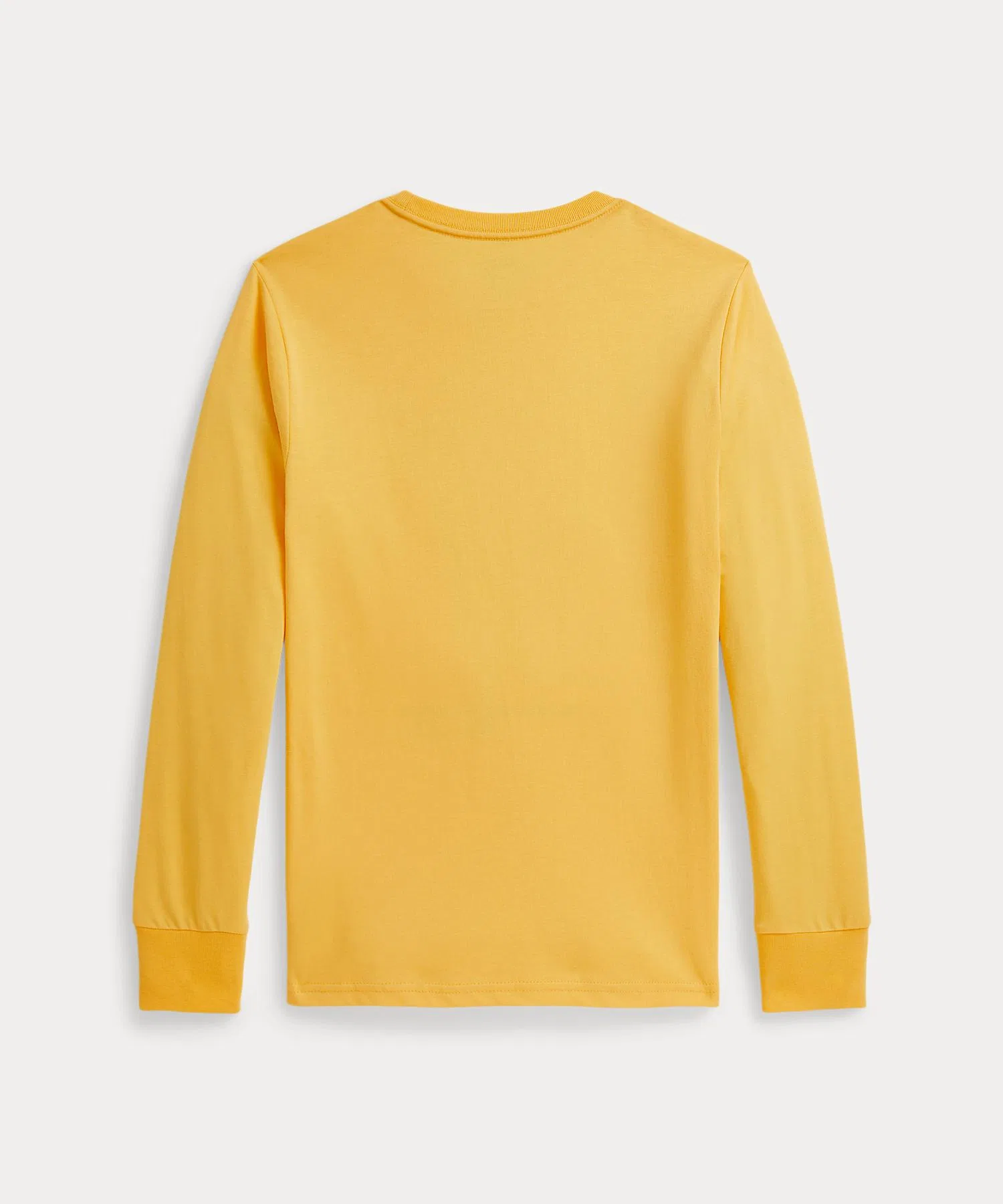 Детская футболка Polo Ralph Lauren с длинным рукавом и принтом Polo Bear — фото 2