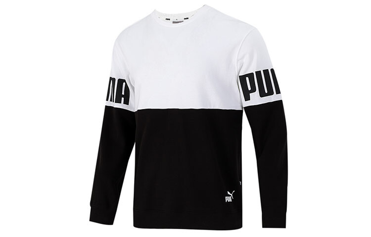 

Мужская толстовка Puma, цвет Black/White