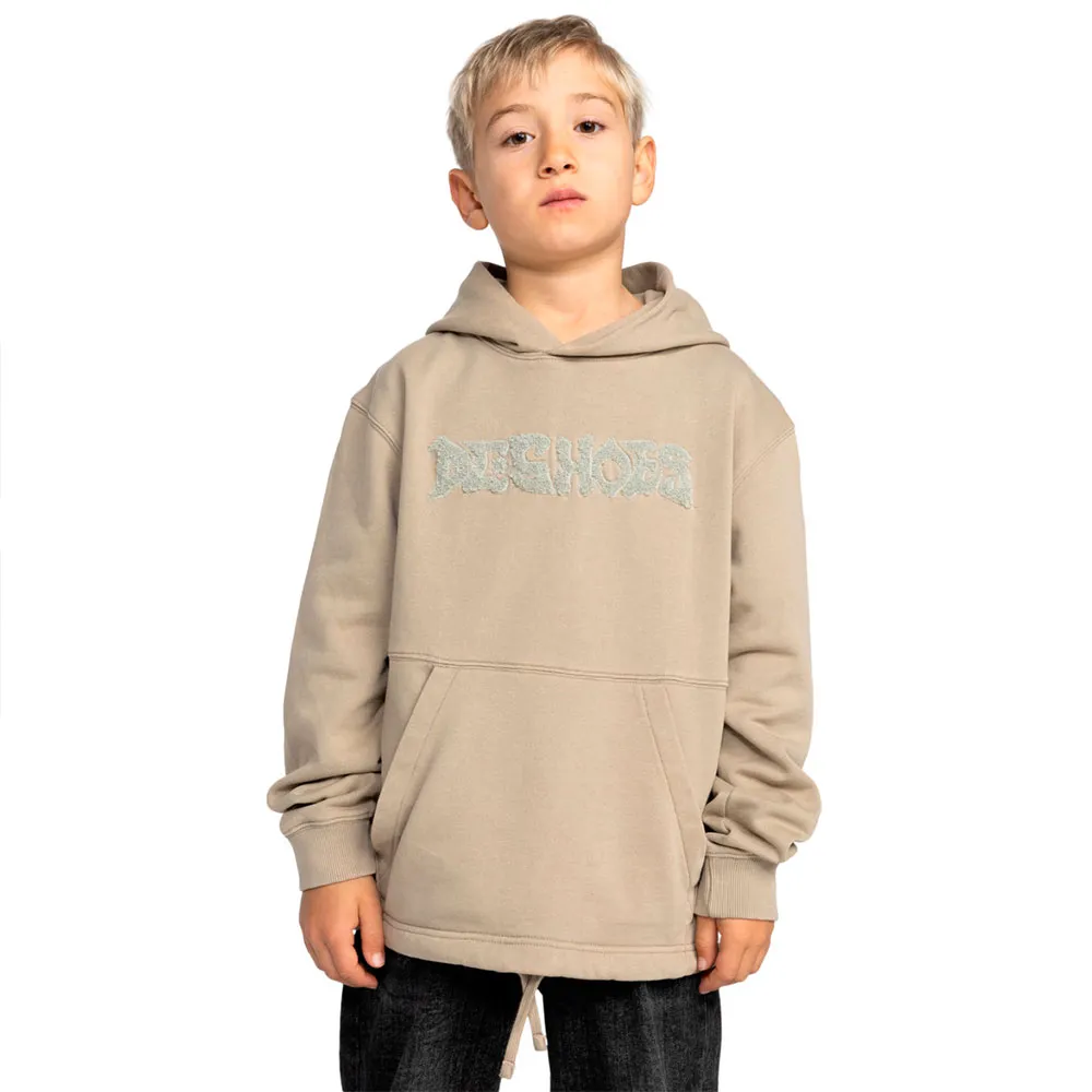 

Худи Dc Shoes Mortar PH, бежевый
