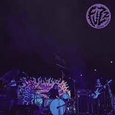 

Виниловая пластинка Fuzz - Levitation Sessions