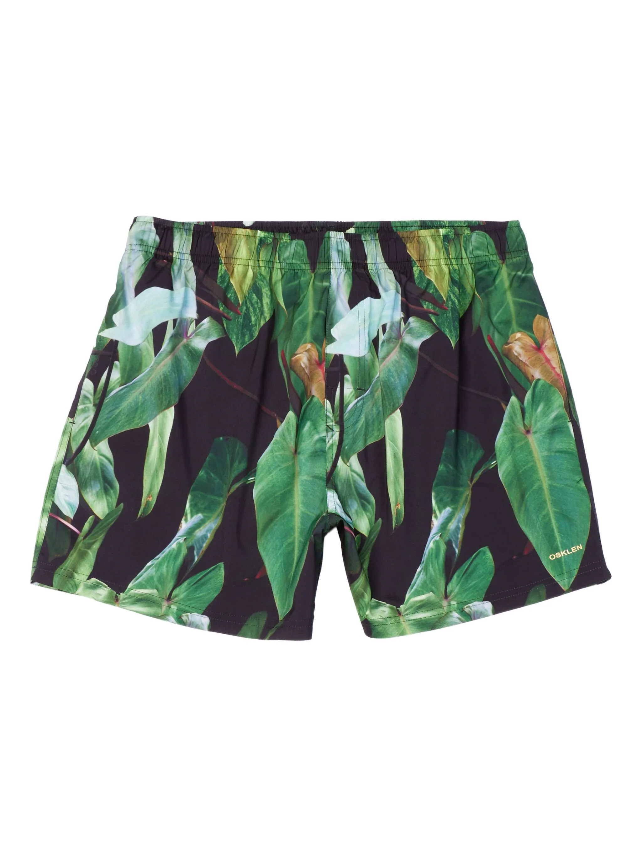 

Плавки-шорты Aquaone Flex Osklen, черный