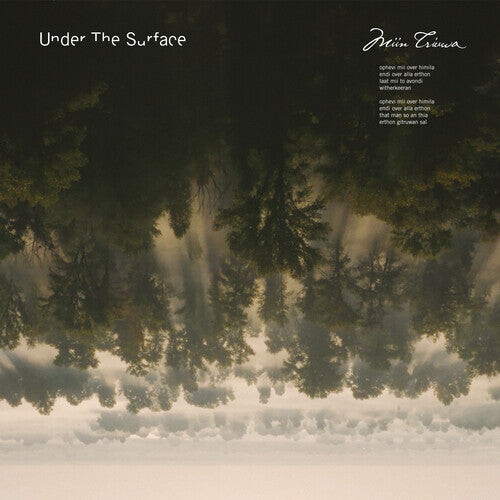 

CD диск Stadhouders / Under the Surface: Miin Triuwa