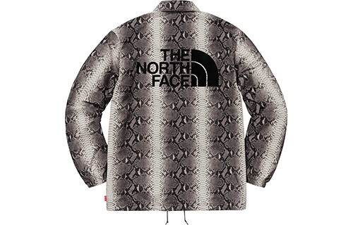 Куртка серии North Face X Tnf Joint унисекс Supreme — фото 2