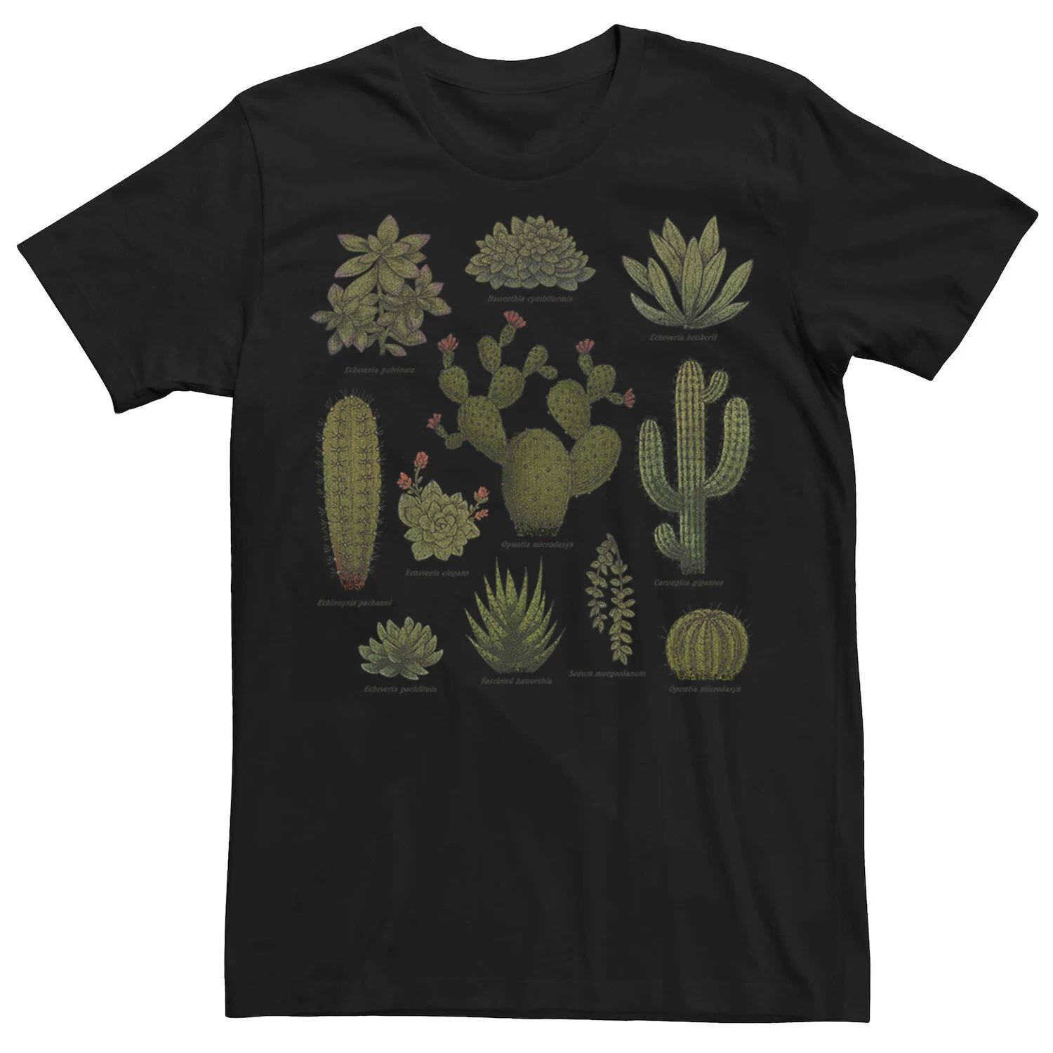 

Мужская футболка Fifth Sun Botanical Cactus Line Up Licensed Character, черный