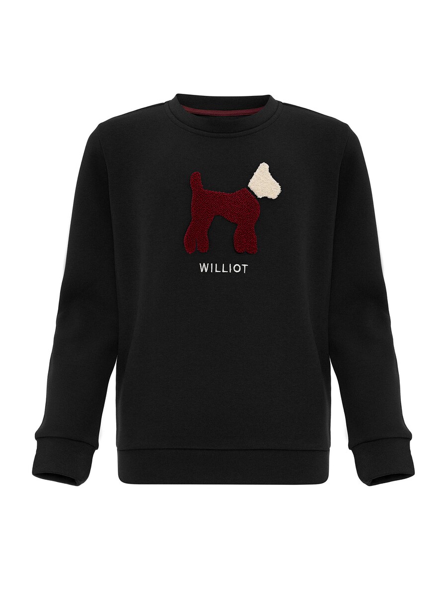 

Толстовка Williot, черный