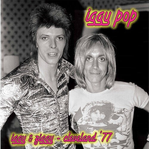 

Виниловая пластинка Pop, Iggy: Iggy & Ziggy - Cleveland '77 - Silver/pink Splatter