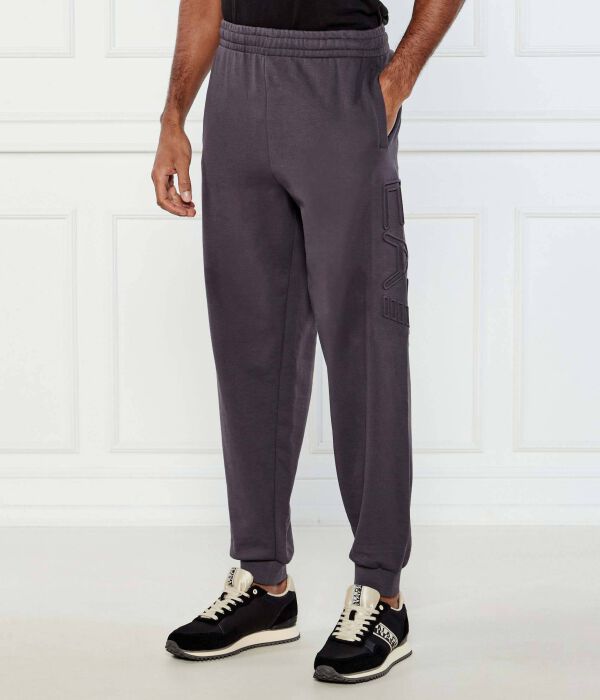 

Брюки Regular fit Ea7, черный
