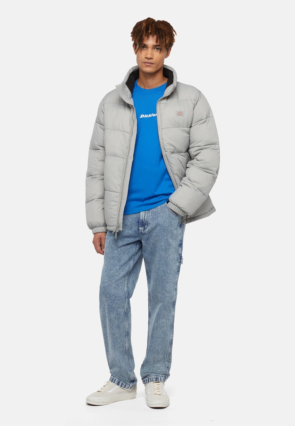 

Базовая футболка ENTERPRISE SS Dickies, разноцветный