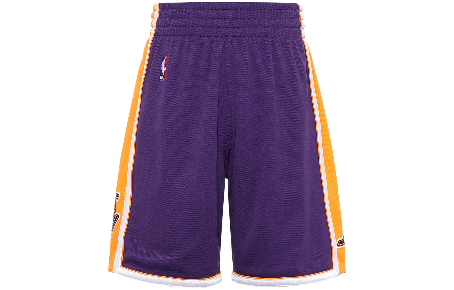 

Мужские баскетбольные шорты Mitchell & Ness Purple Box