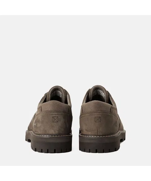 Мужские водонепроницаемые туфли Timberland Britton Road — фото 4