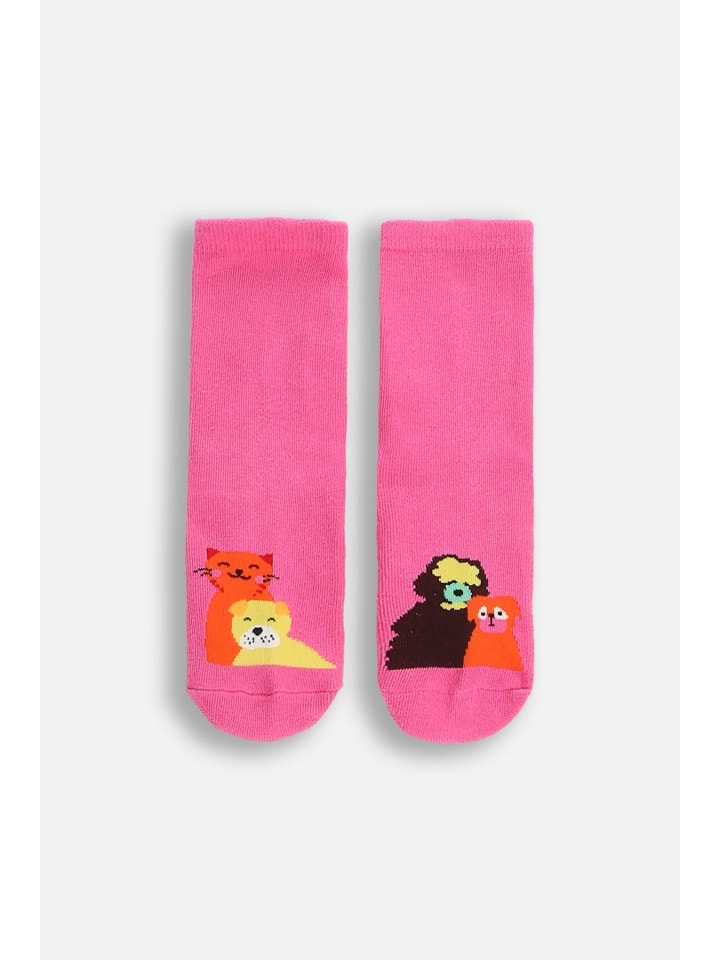 

Coccodrillo Разноцветные носки