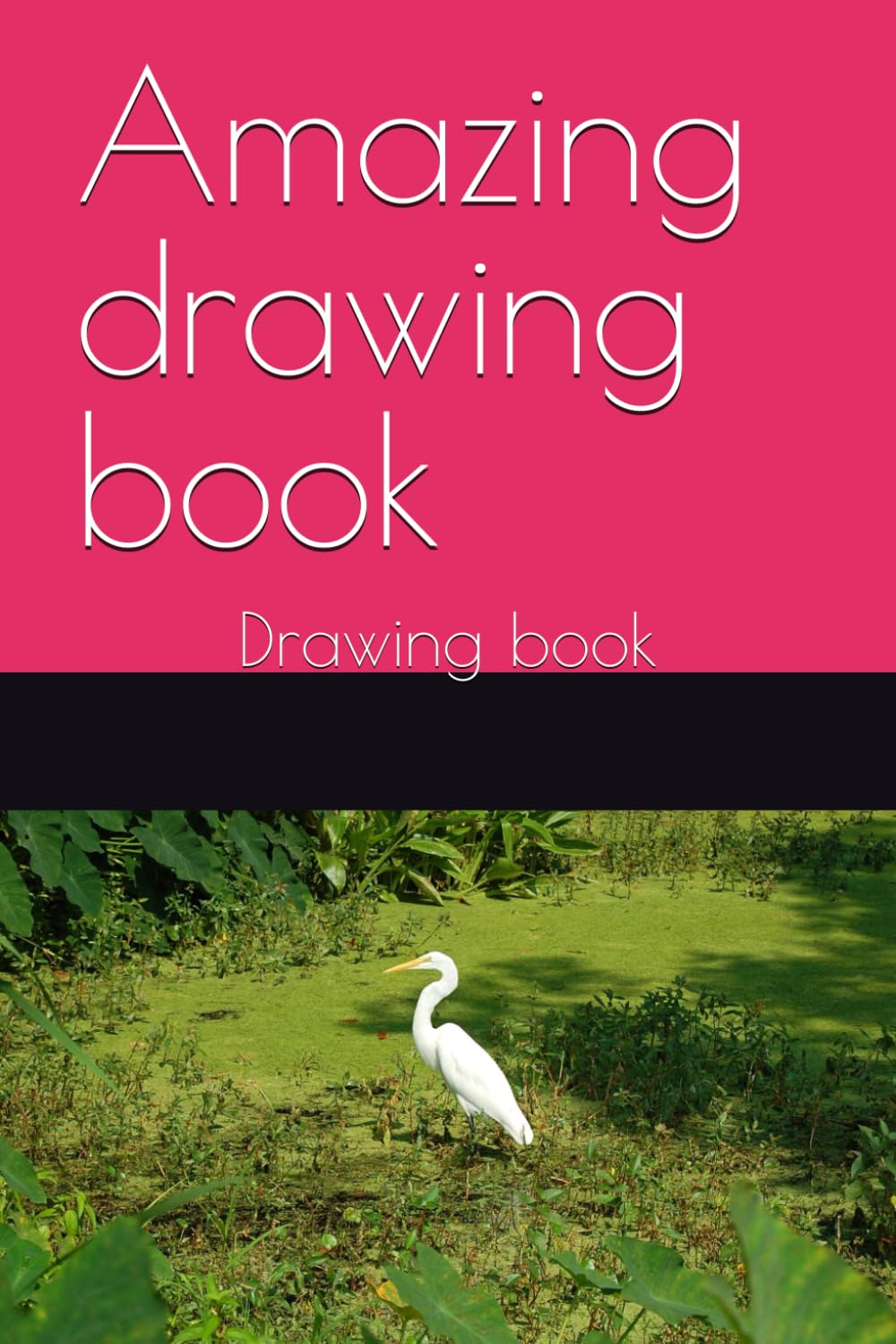 

Amazing drawing book: Drawing book (Independently published)
