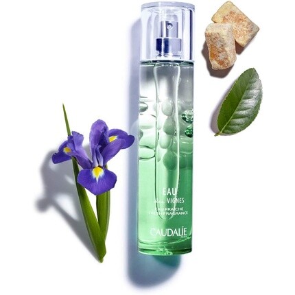 Caudalie Eau Des Vignes Свежая вода 50 мл — фото 2