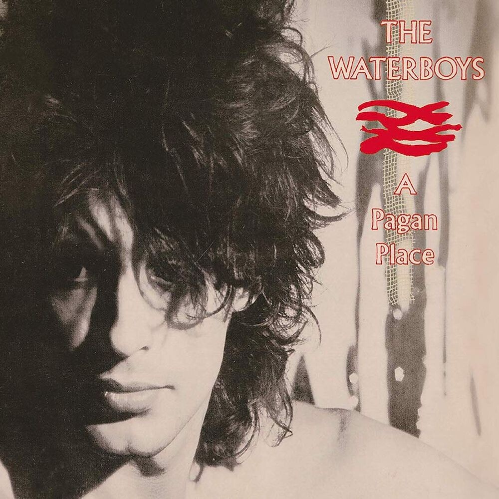 

Диск CD A Pagan Place [Expanded Edition] - The Waterboys