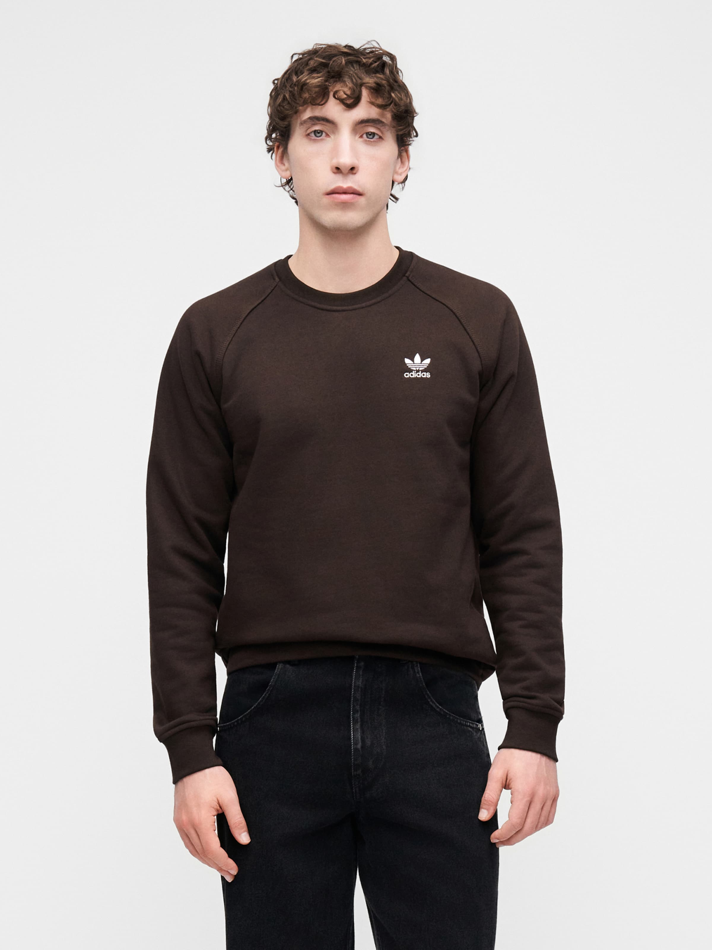 Adidas Originals Свитшот 'Trefoil Essentials' в цвете Chocolate — фото 2