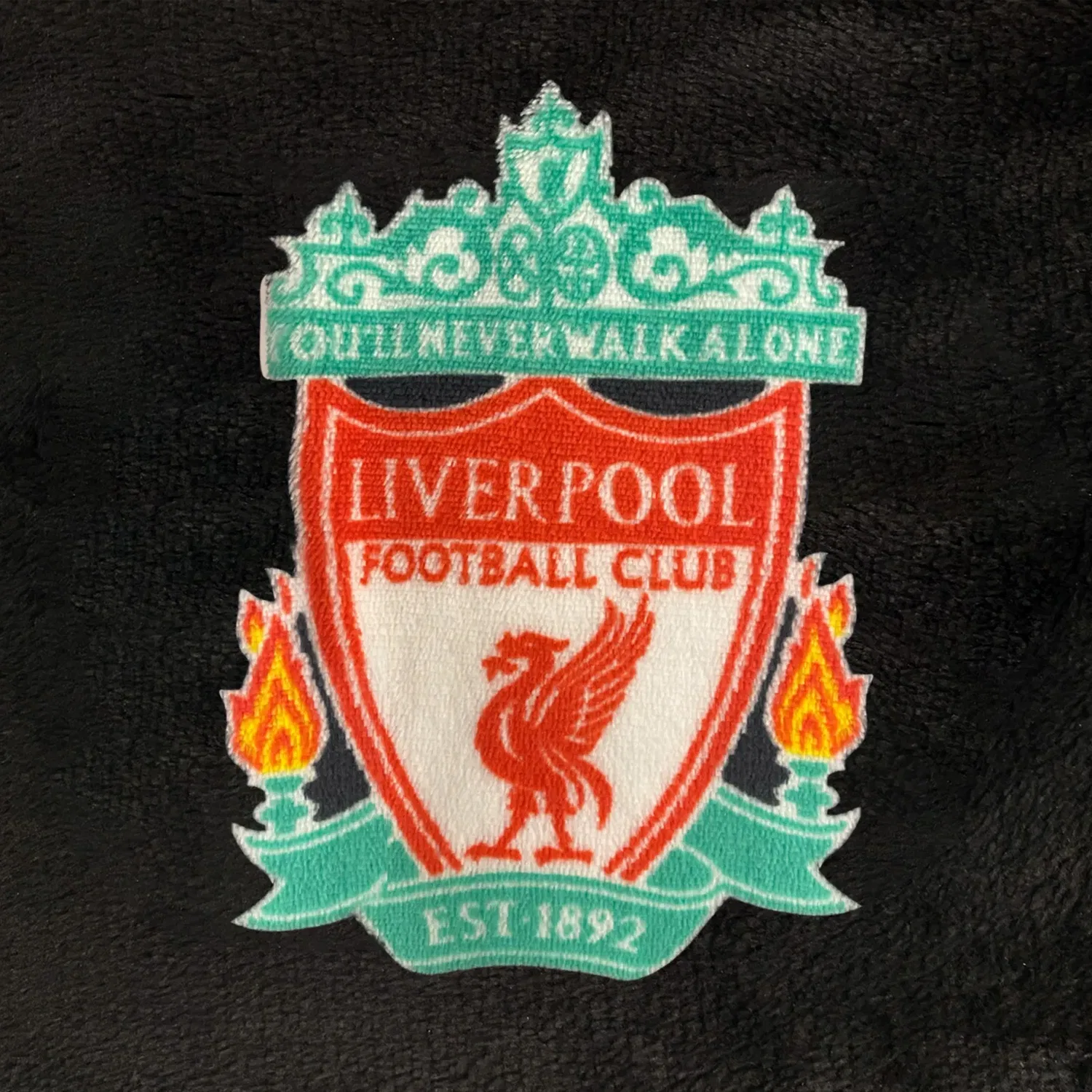 Детский флисовый комбинезон Liverpool FC, черный — фото 4