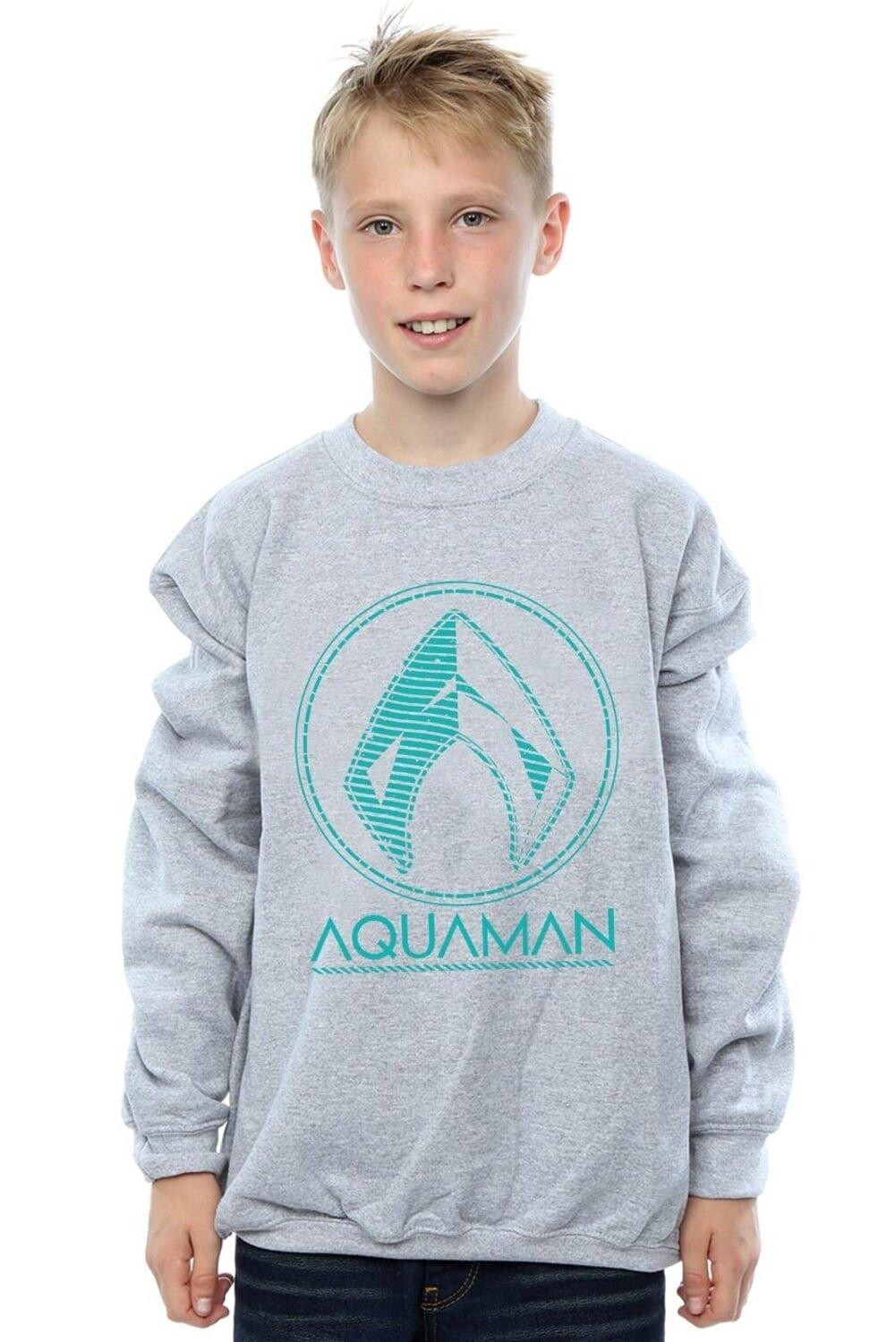 

Толстовка с логотипом Aquaman Aquaman DC Comics, серый