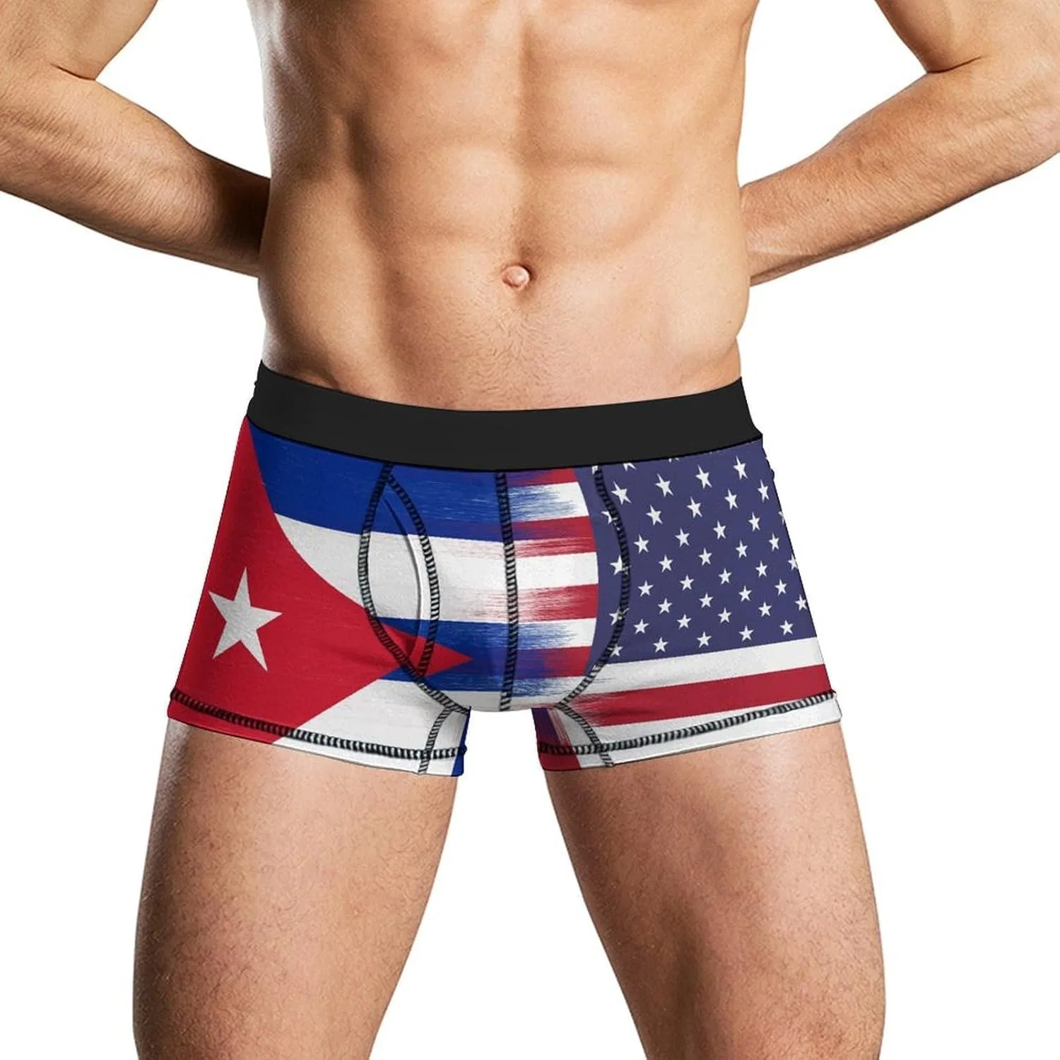 Боксеры с флагом США и Кубы, Style