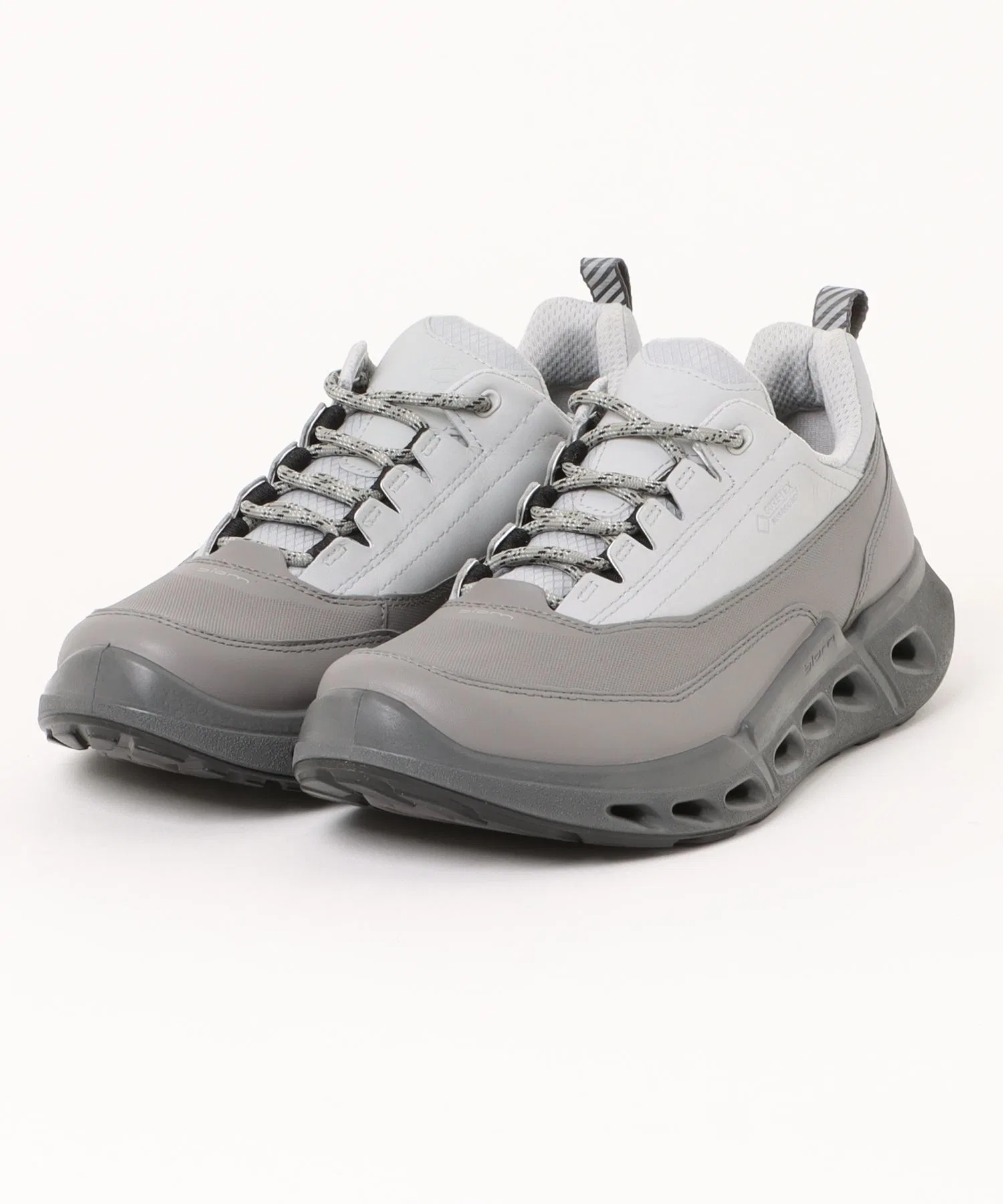 Мужские кроссовки ECCO BIOM 720 GORE-TEX