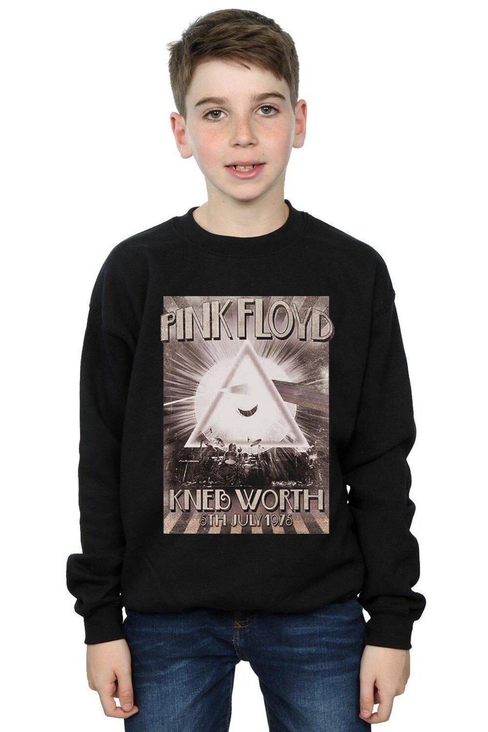 

Толстовка с плакатом Knebworth Pink Floyd, черный
