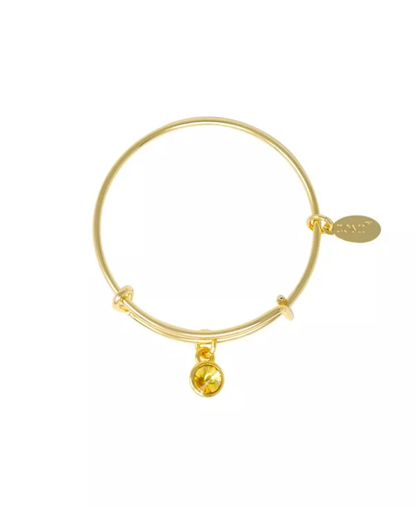 

Браслет с камнями, соответствующими дате рождения, для детей Zomi Gems, november