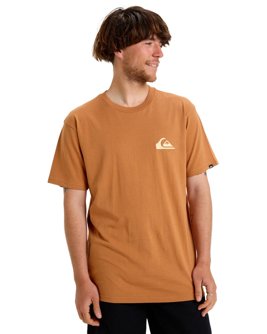 

QUIKSILVER Футболка EV MINI LOGO 2024 коричневая мужская