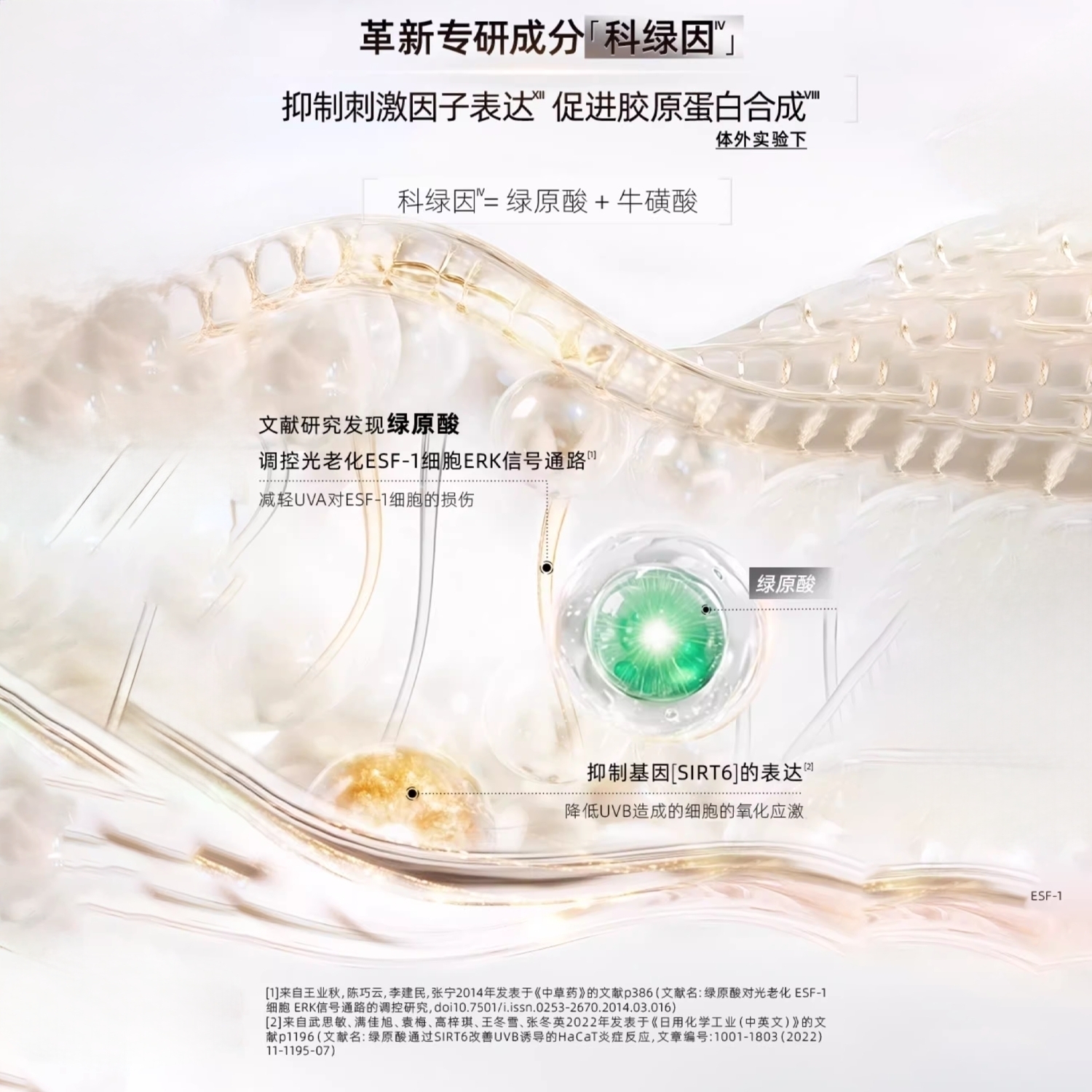 Сыворотка Weather Danpro Radiance Revival для уплотнения и восстановления, увлажняющая и насыщающая влагой, 50 мл The History Of Whoo — фото 2
