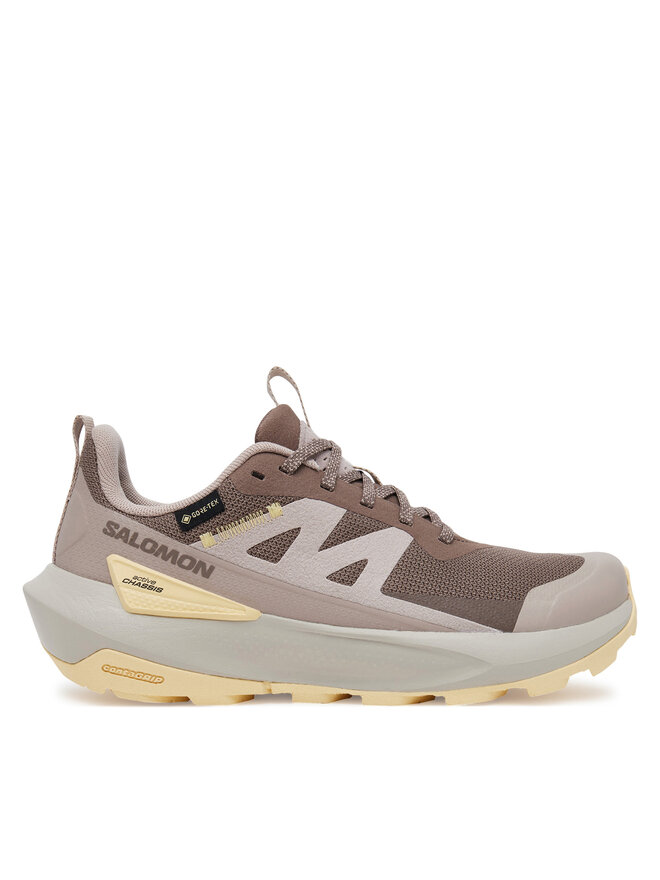 Треккинговые кроссовки Elixir Activ Gore-Tex L47760100 Salomon, коричневый