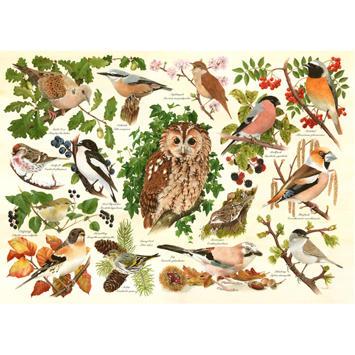 

Пазлы Woodland Birds Big 500 Puzzle