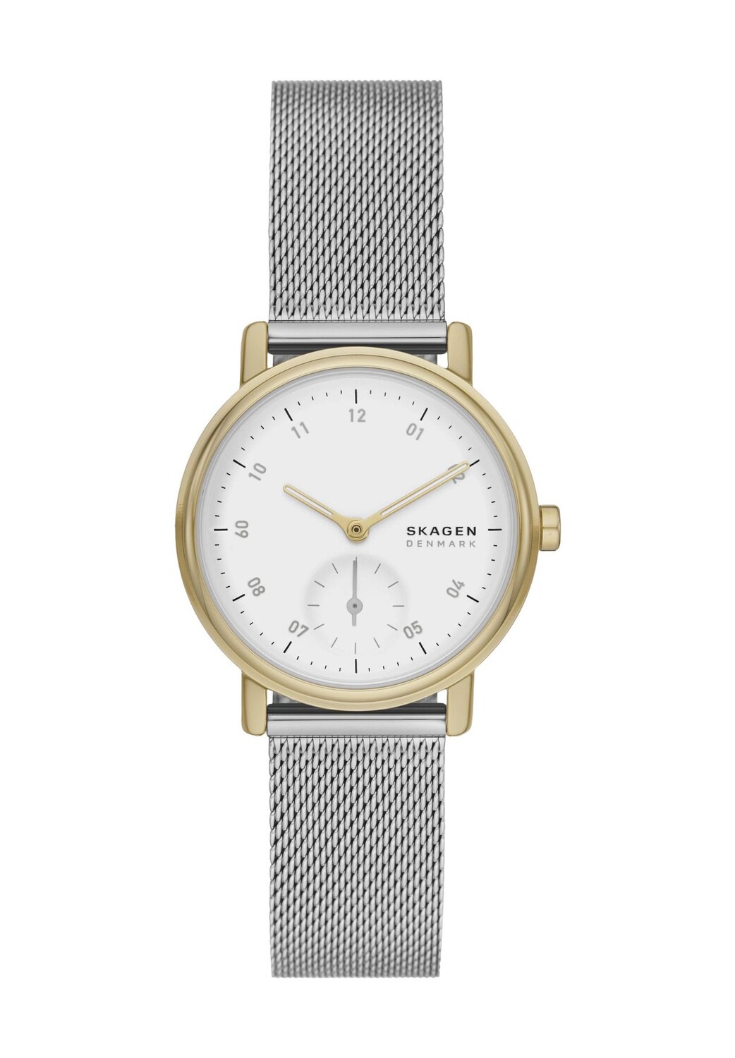 

Женские часы SKW3101 SKAGEN, цвет Bicolor