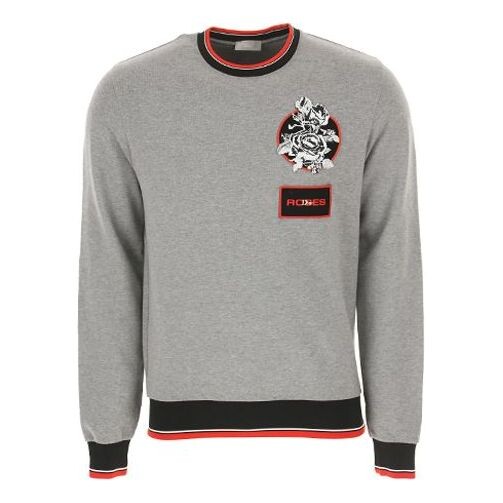 

Толстовка rose embroidered cotton crewneck pullover for men grey Dior, серый