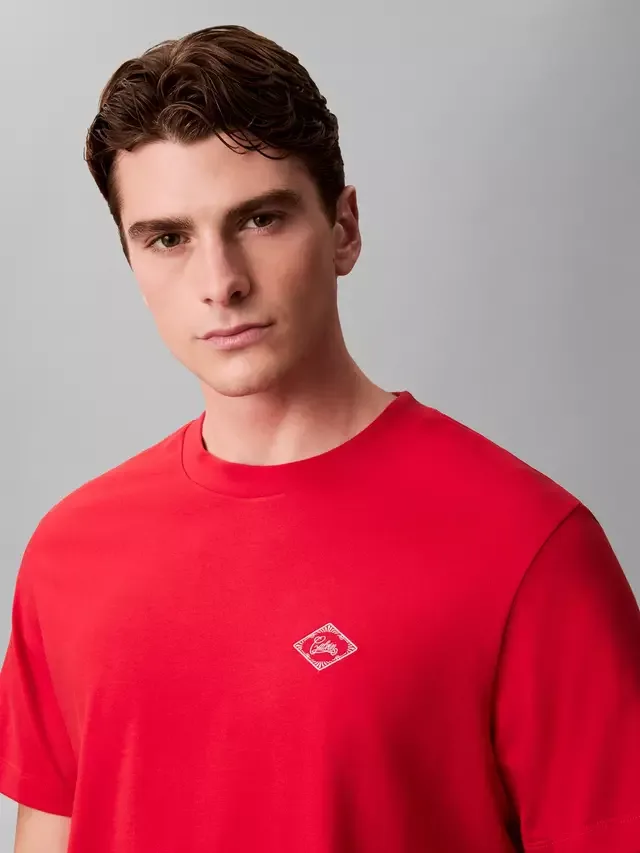 Футболка свободного кроя с логотипом Matchbox, Прилив адреналина Calvin Klein — фото 4