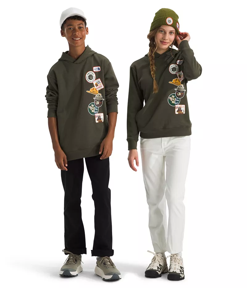 

Детский флисовый пуловер с капюшоном The North Face Smokey Camp, цвет New Taupe Green