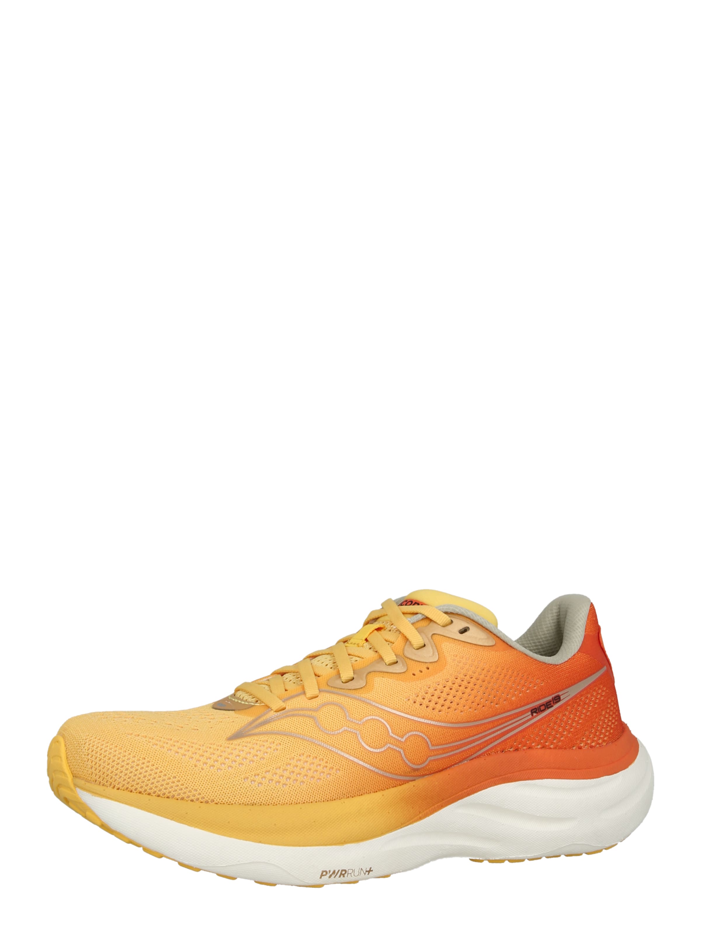 

Saucony Беговые кроссовки 'RIDE 19' в цвете Orange, Apricot, Lobster