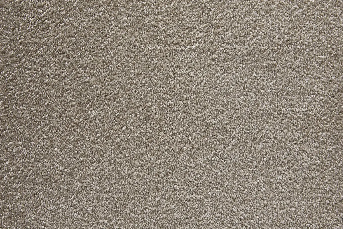 

Ковер Andiamo "Велюр Верона", прямоугольный, однотонный, ширина 400 см или 500 см, износостойкий, легко чистится 500х450 см, цвет schlamm