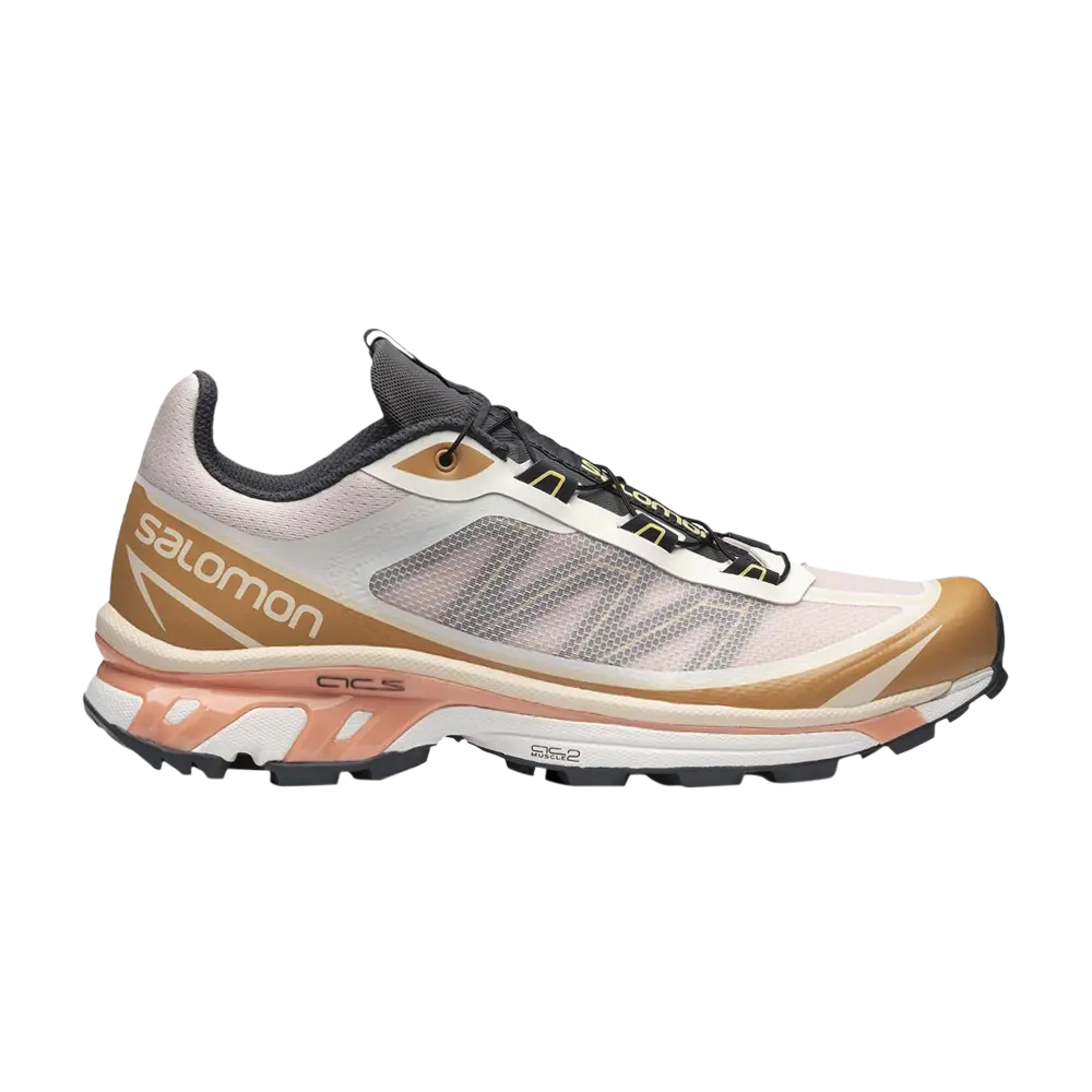 Кроссовки XT-6 FT Salomon, белый