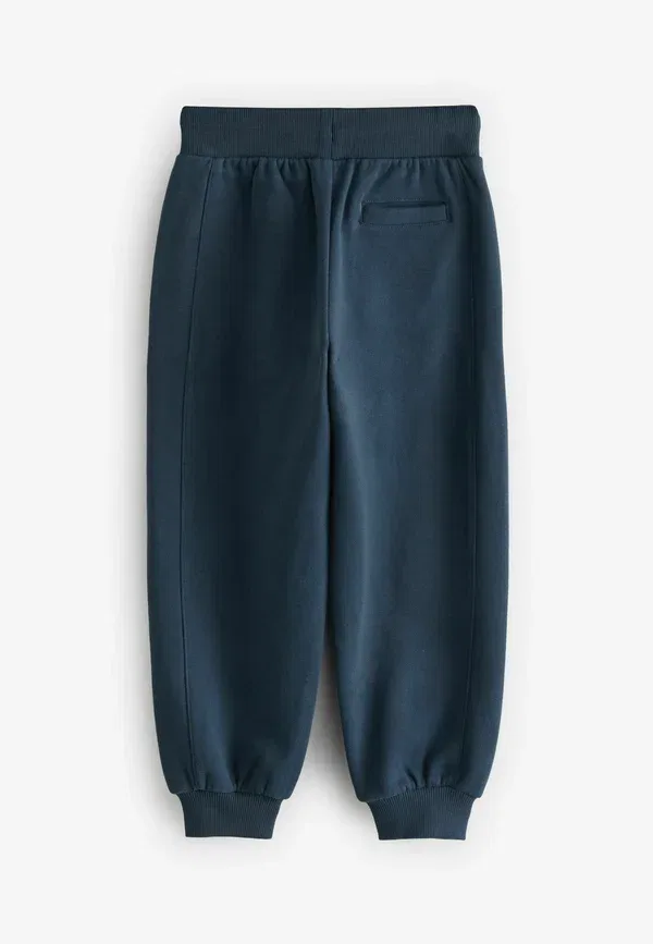 Спортивные штаны Regular fit Baker By Ted Baker, темно-синий — фото 2