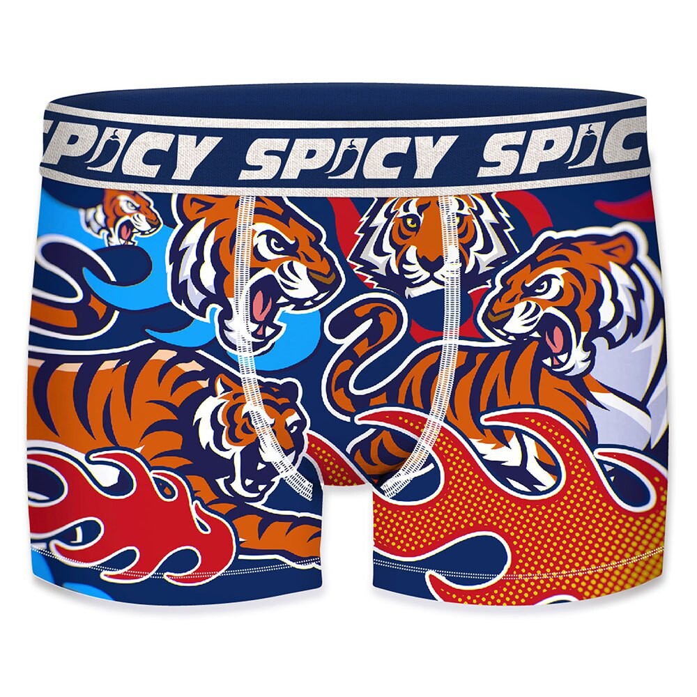 

Боксеры Spicy T678-1, разноцветный